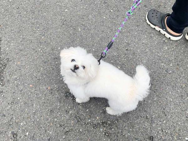 「触ってもいいですか」と聞いてきた小学生　その後の発言に、耳を疑う