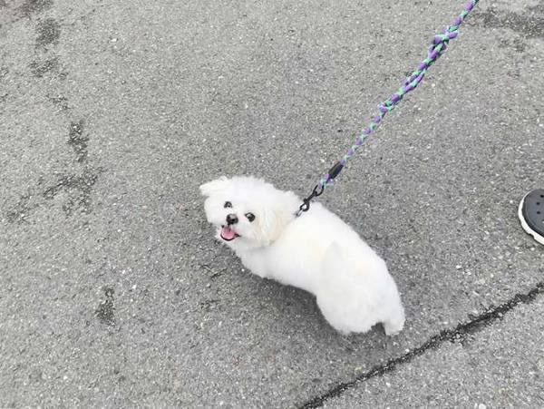 「触ってもいいですか」と聞いてきた小学生　その後の発言に、耳を疑う