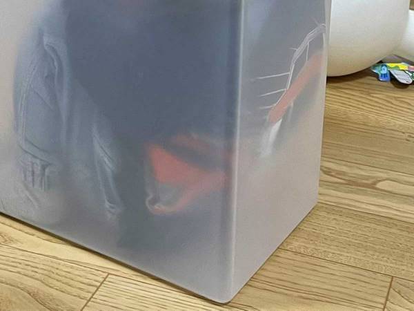 「全部見えてる」　オモチャを貸したくない２歳児が隠れたのは？