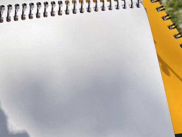 「絵のネタに困ってる？」　自然が教えてくれた題材に「とてもいい！」