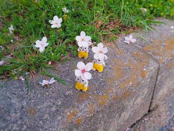 「めっちゃ可愛い」「うちにも来るかな」　『春を運ぶバイト』が話題に