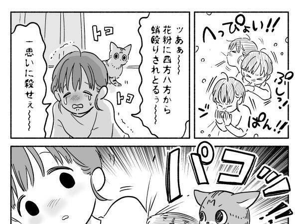 「うるさい！」　飼い主にパンチを見舞った猫　一体なぜ？