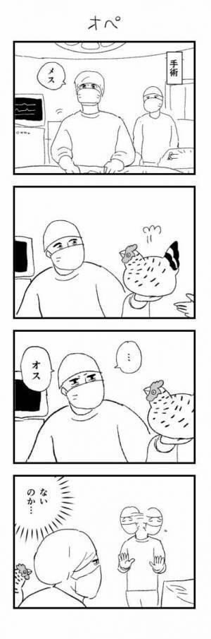 手術中の医師、助手を無視した理由は？　「職場なのに笑った」「こういうの大好き」