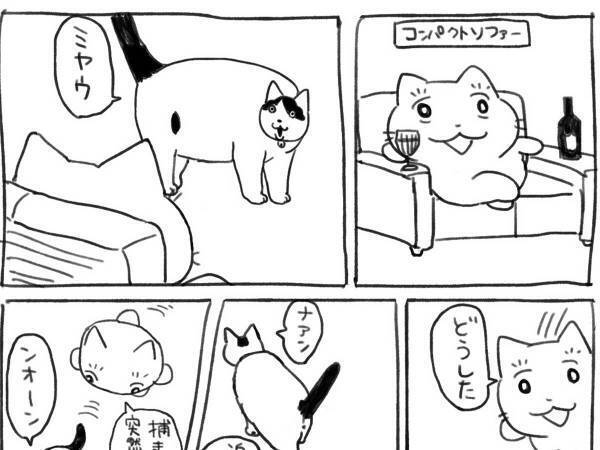 ソファでくつろぐ飼い主に、何かを訴える猫　導かれるようについていくと？