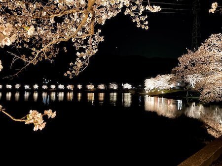 桜の名所がズラリ！　MKタクシー公式Twitterの演出がけっこう粋