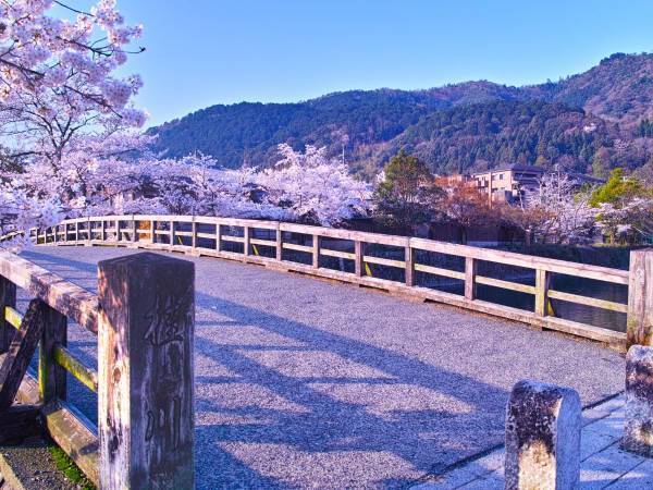 桜の名所がズラリ！　MKタクシー公式Twitterの演出がけっこう粋