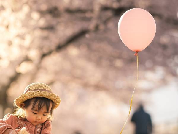 「思い出に残る」「幸せのすべて」　『お友達』と花見する１歳の女の子が話題に
