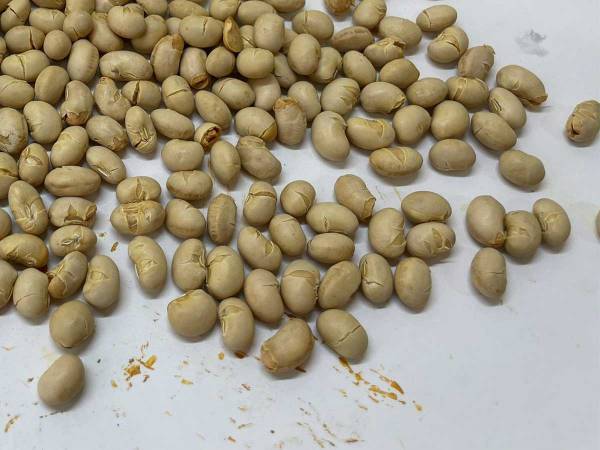 作った本人が『作品』を見失ってしまい？　「ウソでしょ？」「絶対に見つけられない…」