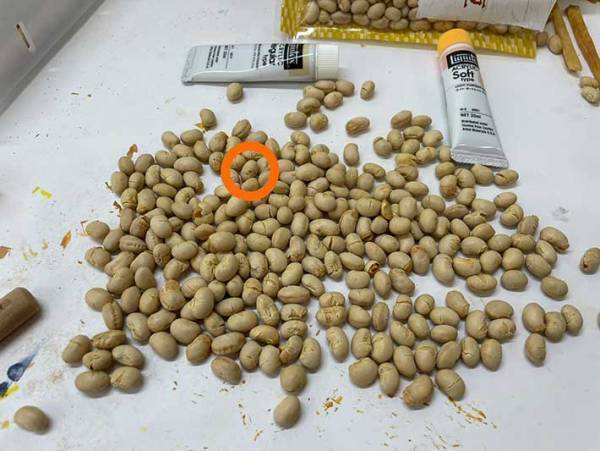 作った本人が『作品』を見失ってしまい？　「ウソでしょ？」「絶対に見つけられない…」