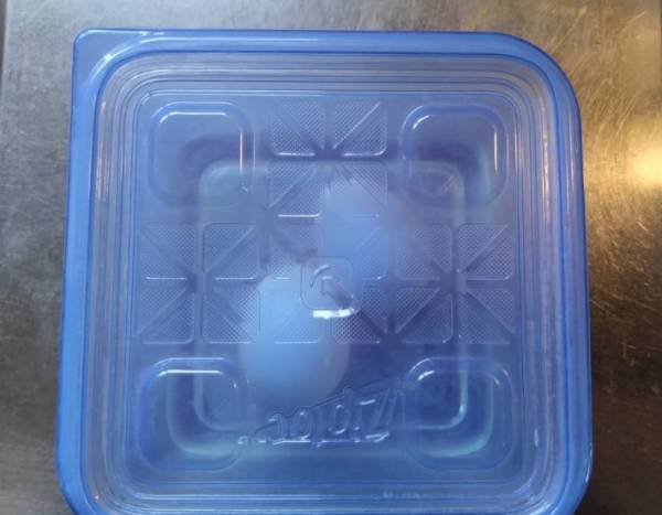 「気持ちいい！」「それだけで！？」　史上最も爽快なゆで卵の殻を剥く方法