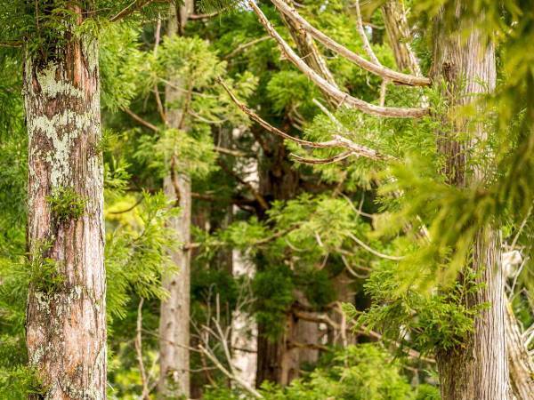 「写真の中の自衛官をさがせ」　陸上自衛隊のクイズが、難しすぎる　「全っ然分からん…」