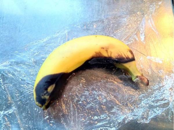 バナナをレンチンすると激甘になるという噂　本当にそうなのか屈折糖度計で確かめてみた結果