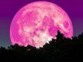 １年に一度の『ピンクムーン』がいよいよ！　２０２３年も、月を見て願いを叶えよう