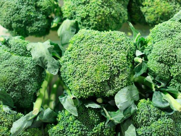 「ウソみたいにおいしい」　ブロッコリーとバターの『炊き込みご飯』が至高の味だった