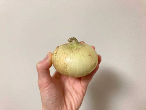 電子レンジで簡単！　JA全農の新玉ねぎレシピに絶賛の声　「これ、大好き」