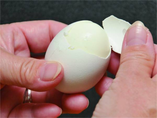 今までの苦労はなんだった？　ゆで卵の殻を一瞬でキレイに剥く方法に「ラクすぎ」「絶対コレ」