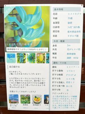 「ご自由にお持ち帰りください」　植物園に置かれていた『青いモノ』の正体は？