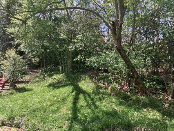 家の庭で犬が『ここ掘れワンワン』　発見された光景に「初めて見た！」「なんて素敵」