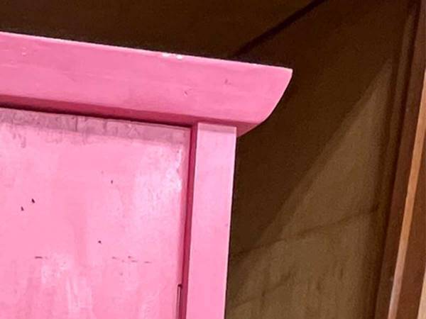 「断捨離するか迷ってる」　家に眠る『あるもの』に「捨てちゃダメだろ…」「欲しい」