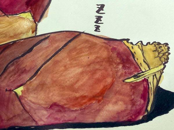 小学生の光るセンスに、思わず脱帽！　絵の題材に選んだものとは…