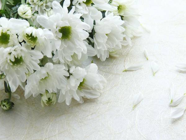 ４６歳、声優・櫛田泰道さんの訃報に悲しみの声　『BLEACH』『銀魂』など出演作多数