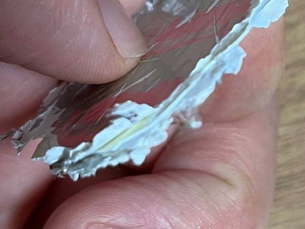 洗濯機の糸くずフィルターから『探し物』が出てきて？　「これは絶望」「気を付ける…」