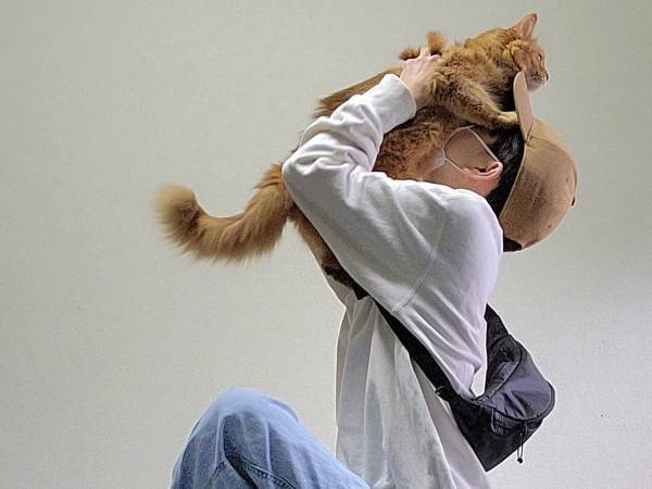 猫の飼い主だけができる禁煙法　「私はこれでタバコをやめました」