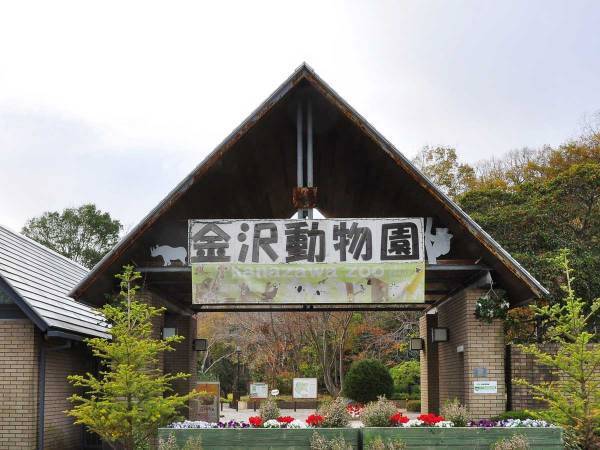 絶滅危惧種の植物がほぼ全て引き抜かれる　金沢動物園の『残念なお知らせ』に憤り