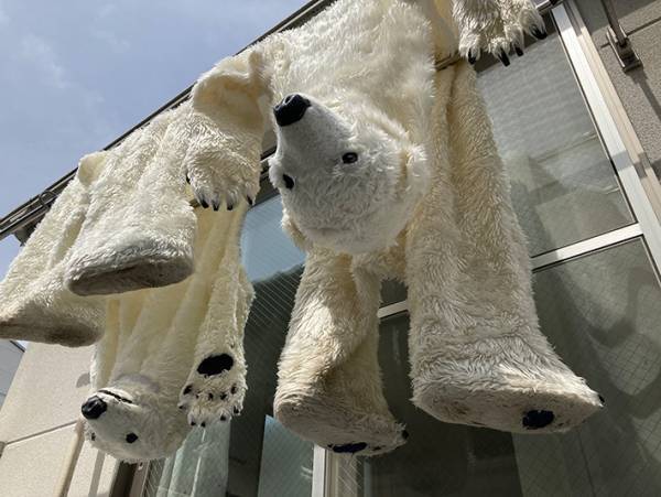 「近所の人びっくりしそう」　『シロクマの着ぐるみが天日干しされた様子』が話題に！