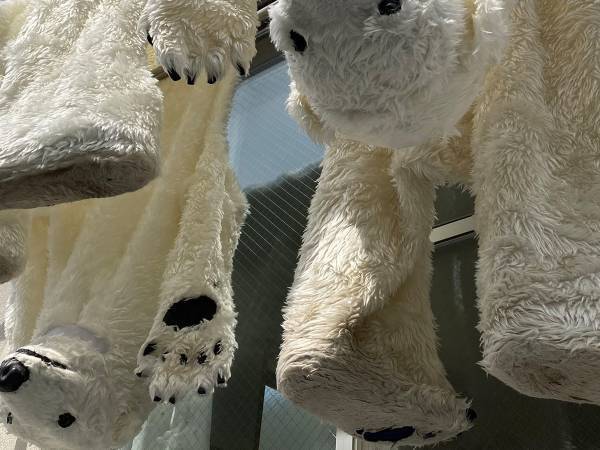 「近所の人びっくりしそう」　『シロクマの着ぐるみが天日干しされた様子』が話題に！