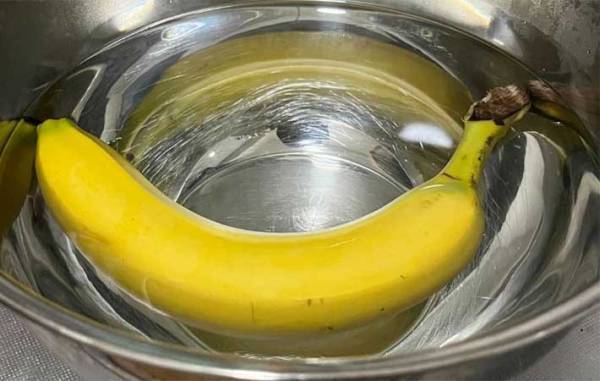 まだ青くて硬いバナナ　レンジでチンするだけで「一瞬で完熟に！」「これは感動」