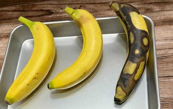 まだ青くて硬いバナナ　レンジでチンするだけで「一瞬で完熟に！」「これは感動」