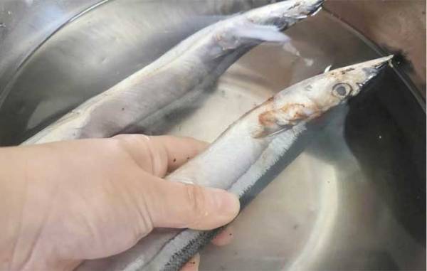 キッチンにある調味料を使うだけ！　青魚の臭いをとる方法に「びっくり」「ためらわず買える」