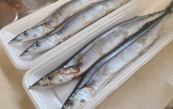 キッチンにある調味料を使うだけ！　青魚の臭いをとる方法に「びっくり」「ためらわず買える」