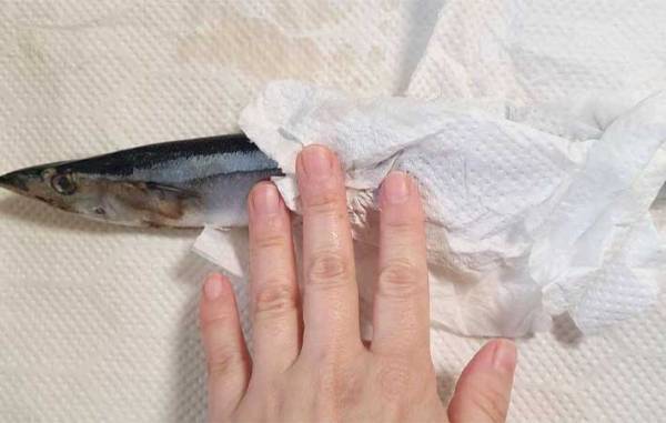 キッチンにある調味料を使うだけ！　青魚の臭いをとる方法に「びっくり」「ためらわず買える」
