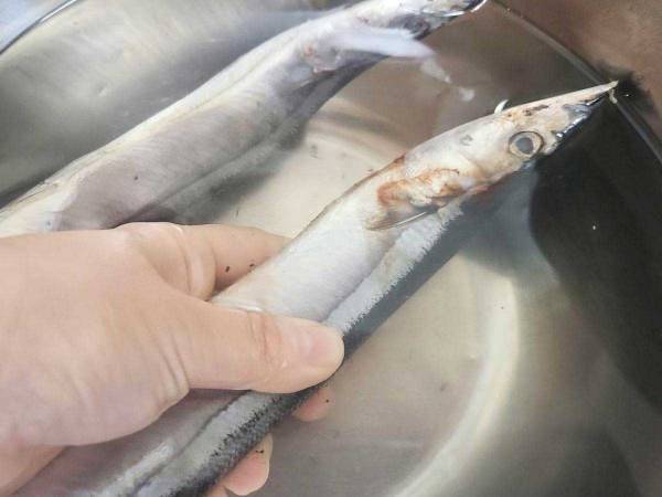 キッチンにある調味料を使うだけ！　青魚の臭いをとる方法に「びっくり」「ためらわず買える」