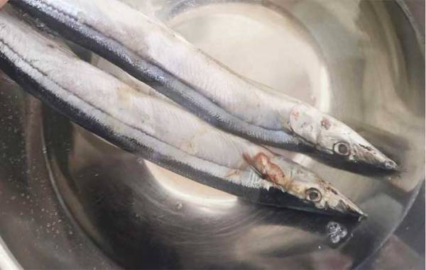 キッチンにある調味料を使うだけ！　青魚の臭いをとる方法に「びっくり」「ためらわず買える」