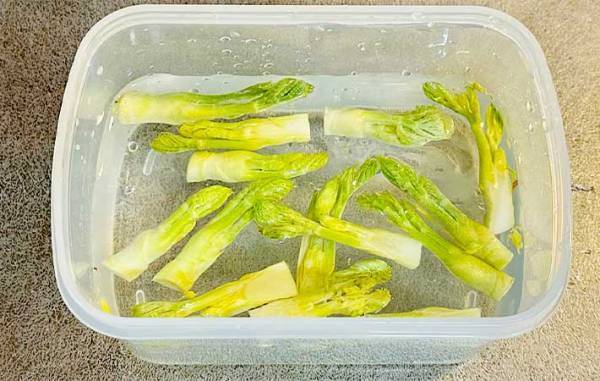 今が旬の『あの山菜』が簡単パスタに！　「これはリピ確定」「渋みがアクセント」