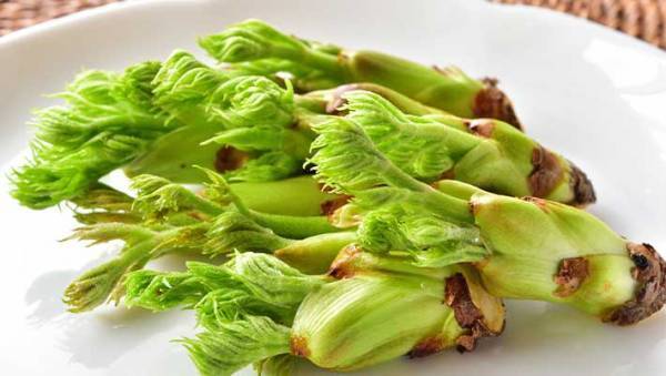 今が旬の『あの山菜』が簡単パスタに！　「これはリピ確定」「渋みがアクセント」