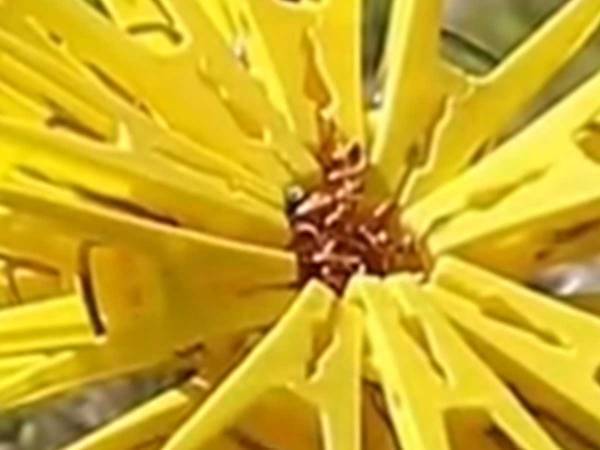 再現度ヤバめの『洗濯バサミアート』がネットで話題に　「すごい」「見間違えた」