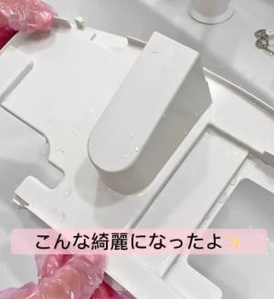 アレを開いてみると愕然…！　トイレの黒カビ発生源を調べてみた結果が恐ろしい