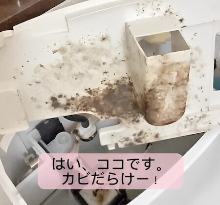 アレを開いてみると愕然…！　トイレの黒カビ発生源を調べてみた結果が恐ろしい