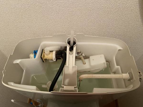 アレを開いてみると愕然…！　トイレの黒カビ発生源を調べてみた結果が恐ろしい