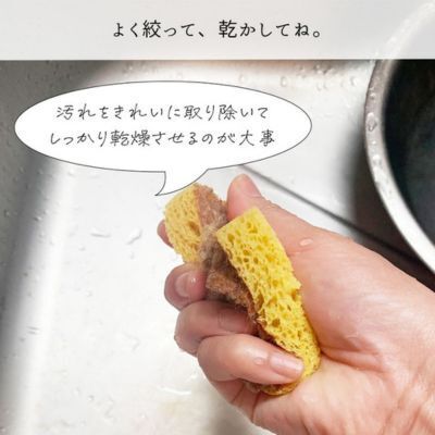 考えたこともなかった…！　ただのお湯と水で雑菌だらけのスポンジを除菌する方法が「便利すぎる」