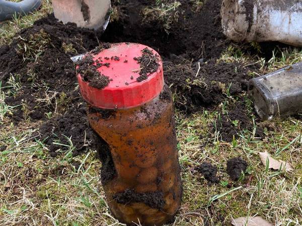 「勇気ありすぎ」　庭から突然出土してきた『見知らぬ梅酒』を飲んでみた結果…