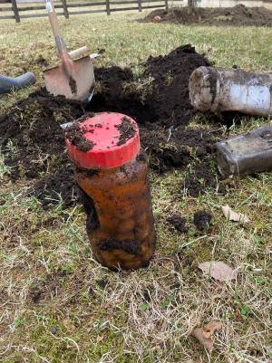 「勇気ありすぎ」　庭から突然出土してきた『見知らぬ梅酒』を飲んでみた結果…