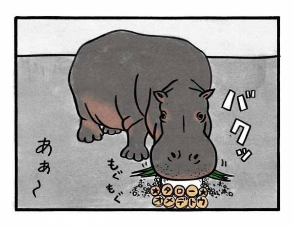 カバの誕生日ケーキを用意した飼育員　出してみると？　「なんか温かい気持ちになる」