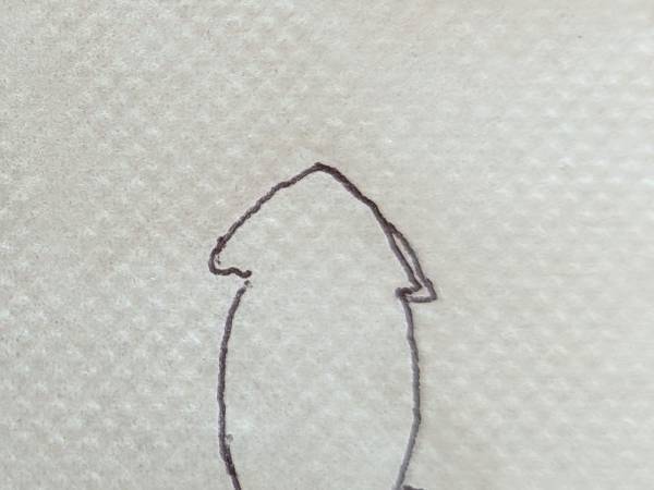 「計画性がなく描かれたイカ」の絵に「笑ったわ」「自分もこうなりそう」