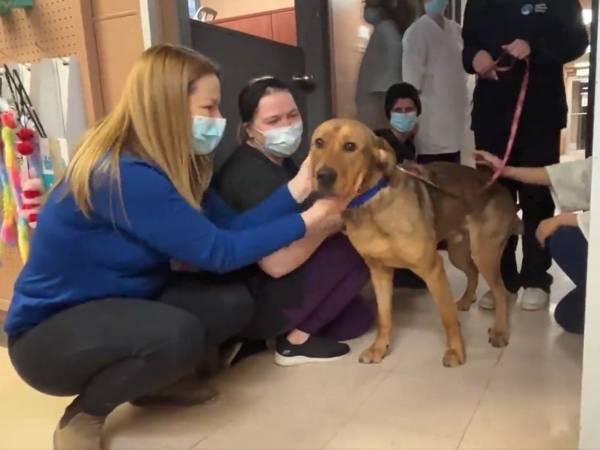 「今までありがとう」　里親が決まった保護犬　施設を出る時に見せた行動にホロリ