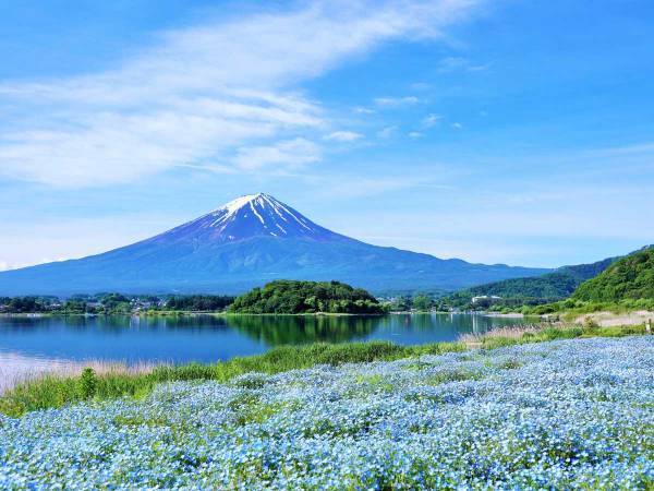 ４月１２日は『一粒万倍日×大安』　新しいことを始めるのにピッタリ！